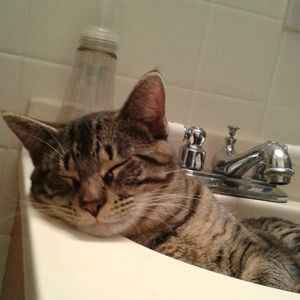 Meet your Posher, Kathy